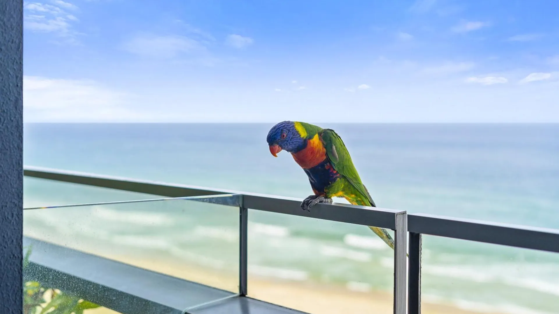 1 Bedroom Ocean View Luxury Unit - Q Appartement
