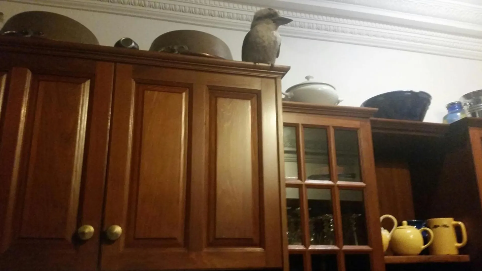 Riviera Bed & Breakfast