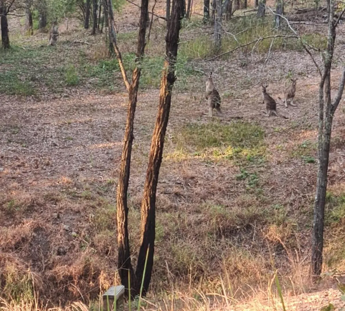 Σπίτι διακοπών Urban Wilderness 1 Tiny Away Χρυσή Ακτή