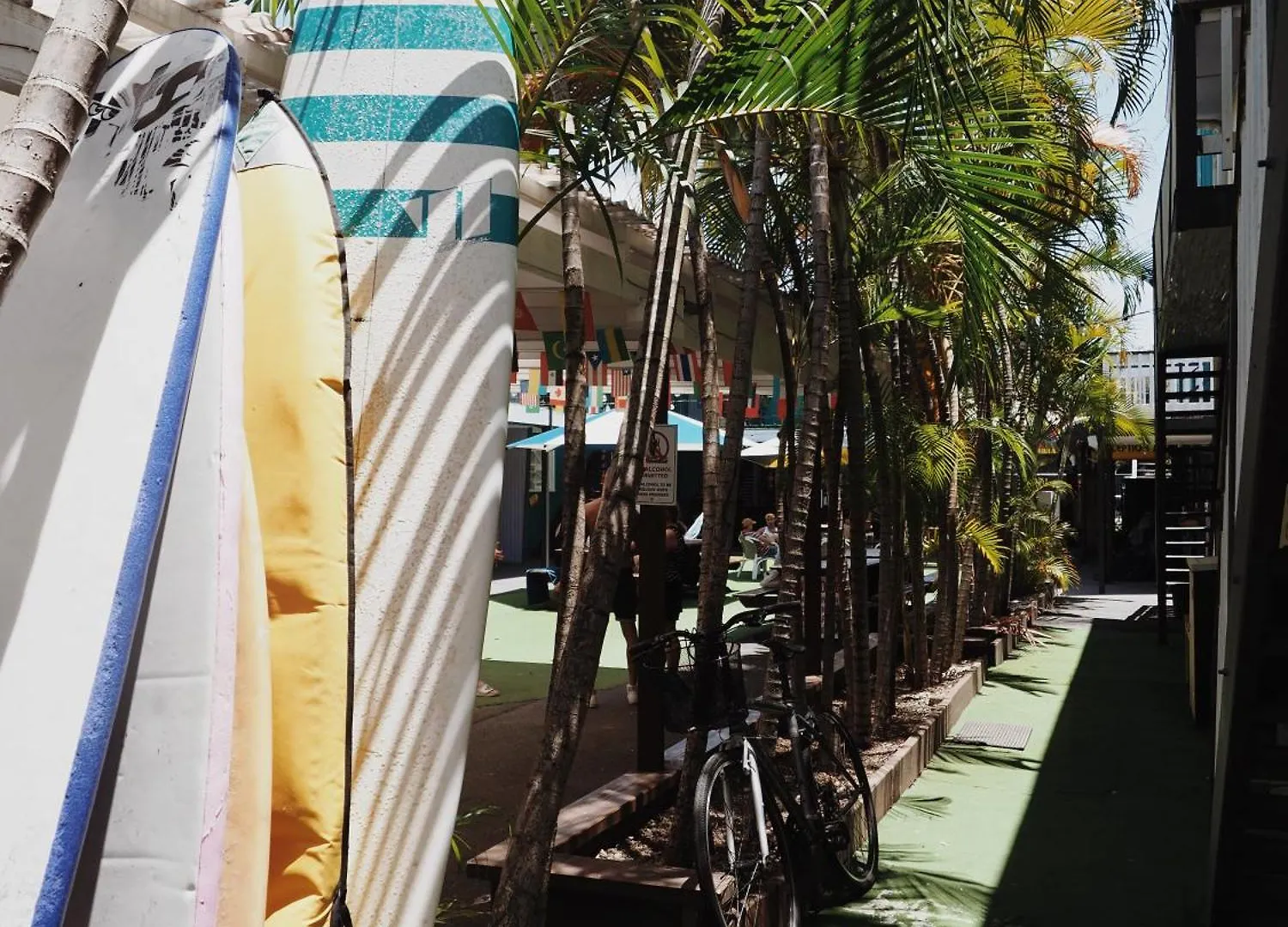 Backpackers In Paradise 18-35
