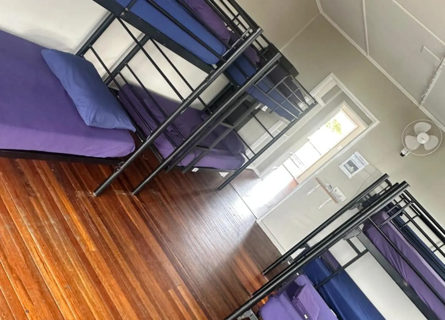 Hostel Backpackers In Paradise 18-35 Gold Coast