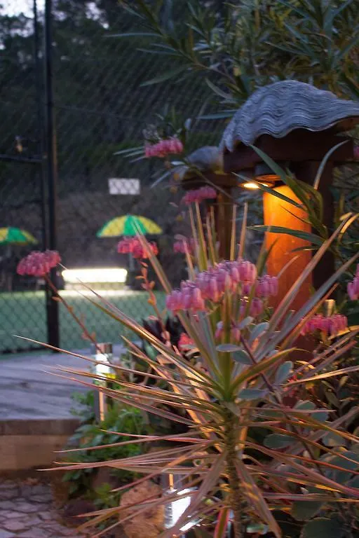 Garasu Guest house Gold Coast