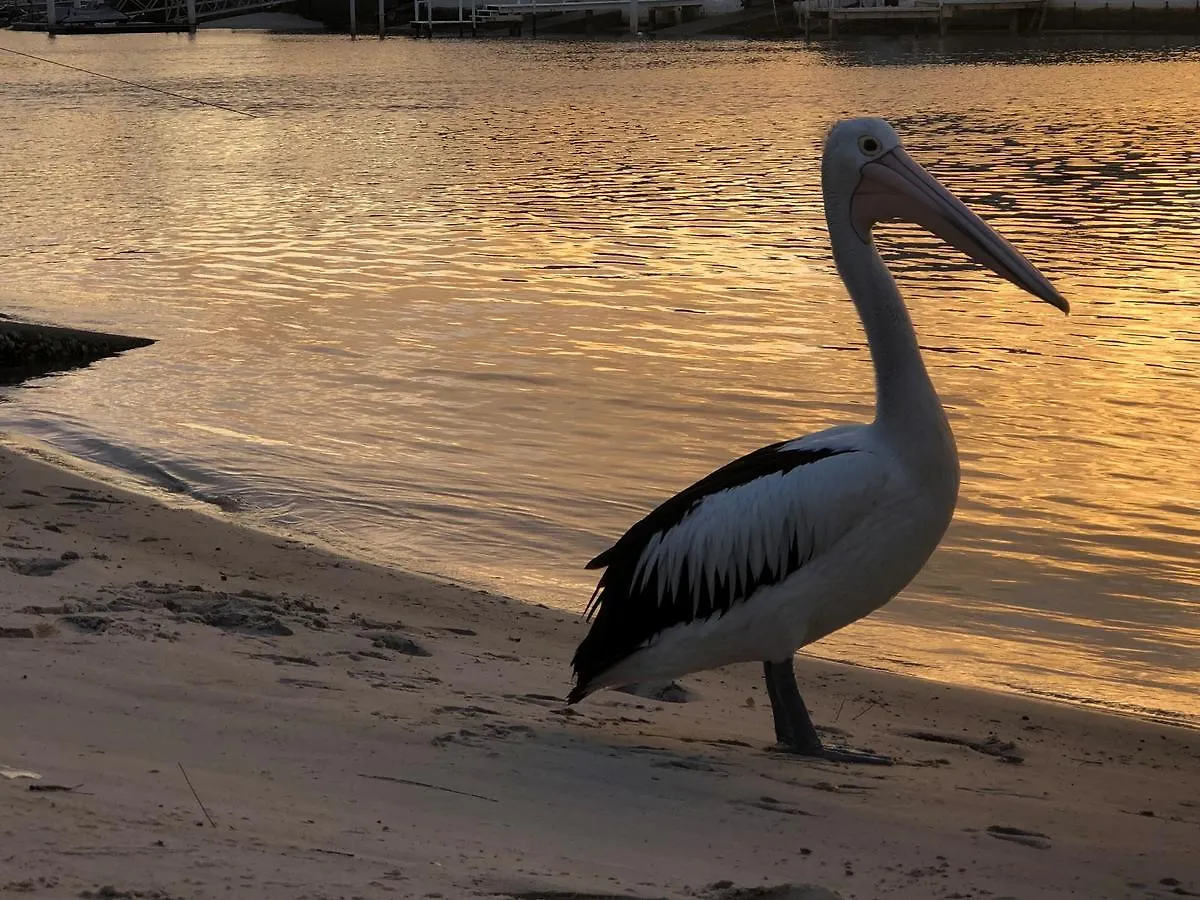 Pelican Cove 3*