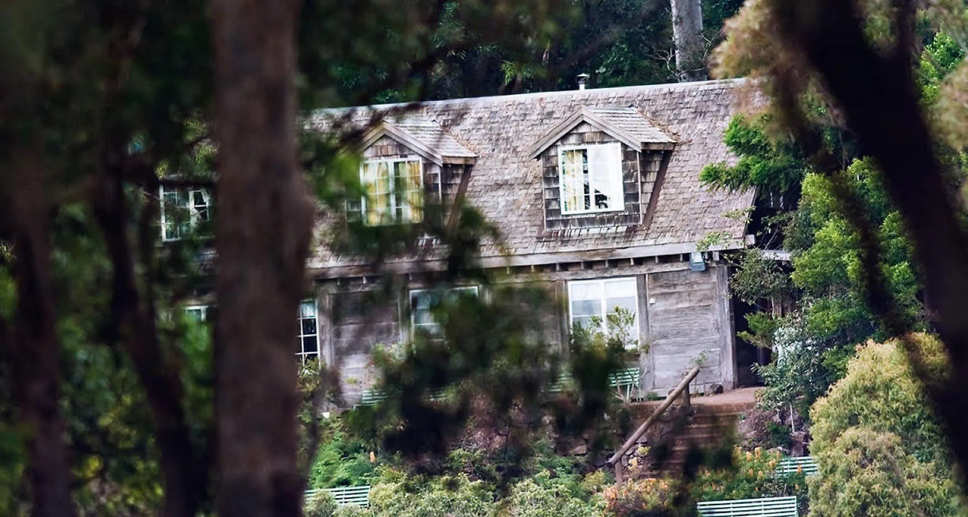 Hotell Binna Burra Mountain Guldkusten