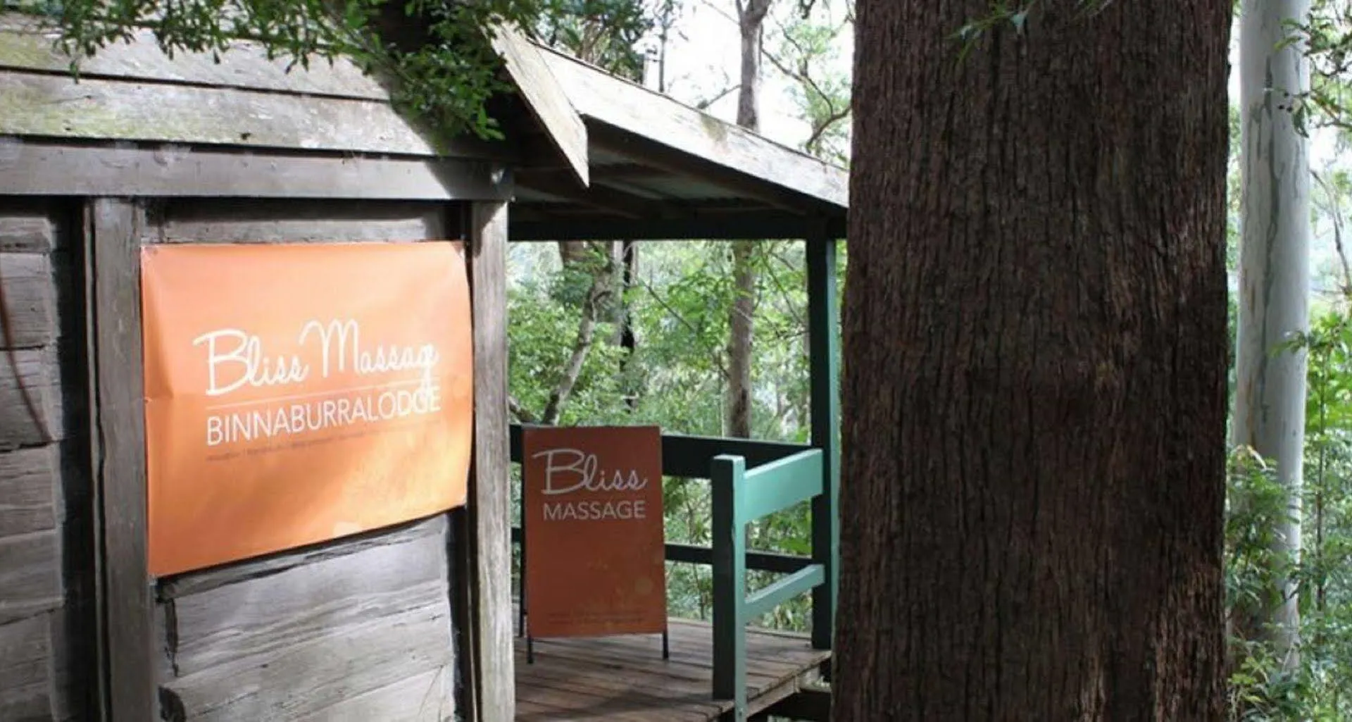 Binna Burra Mountain Guldkusten