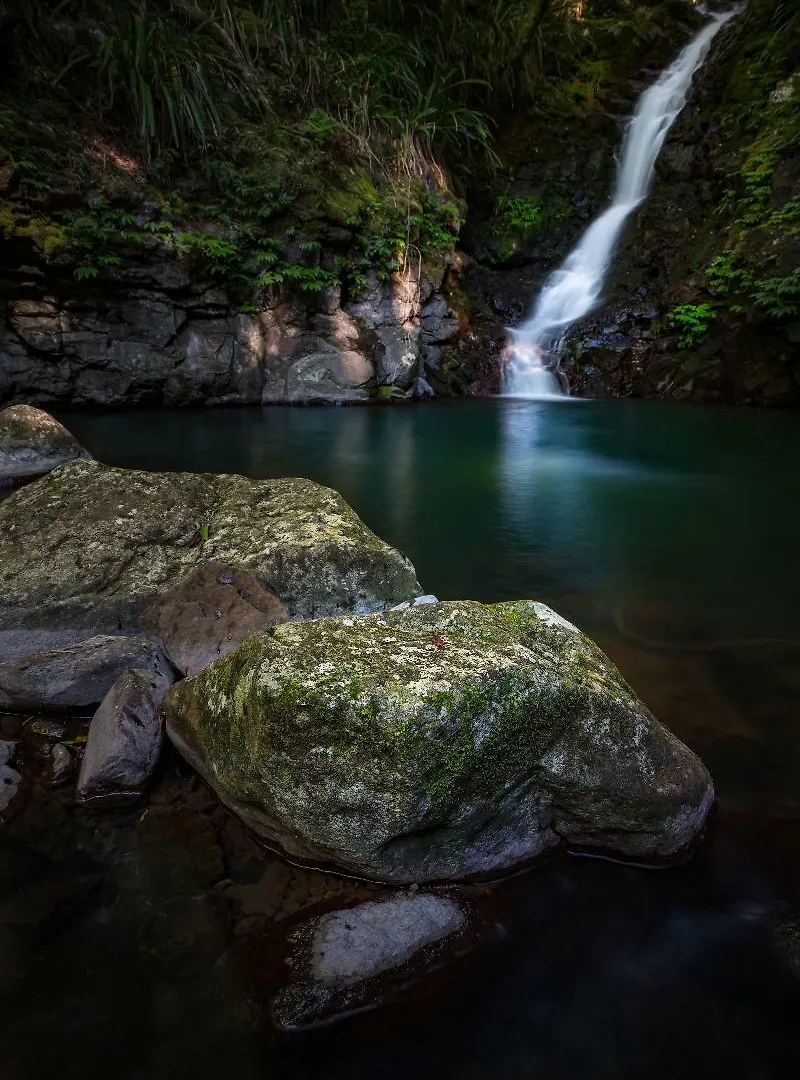 Binna Burra Mountain 3*