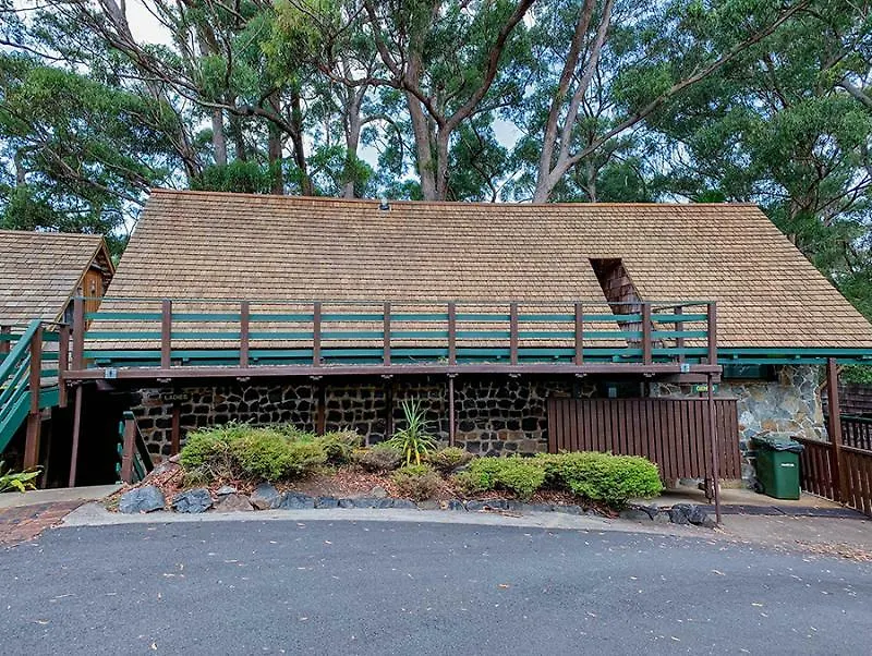Binna Burra Mountain