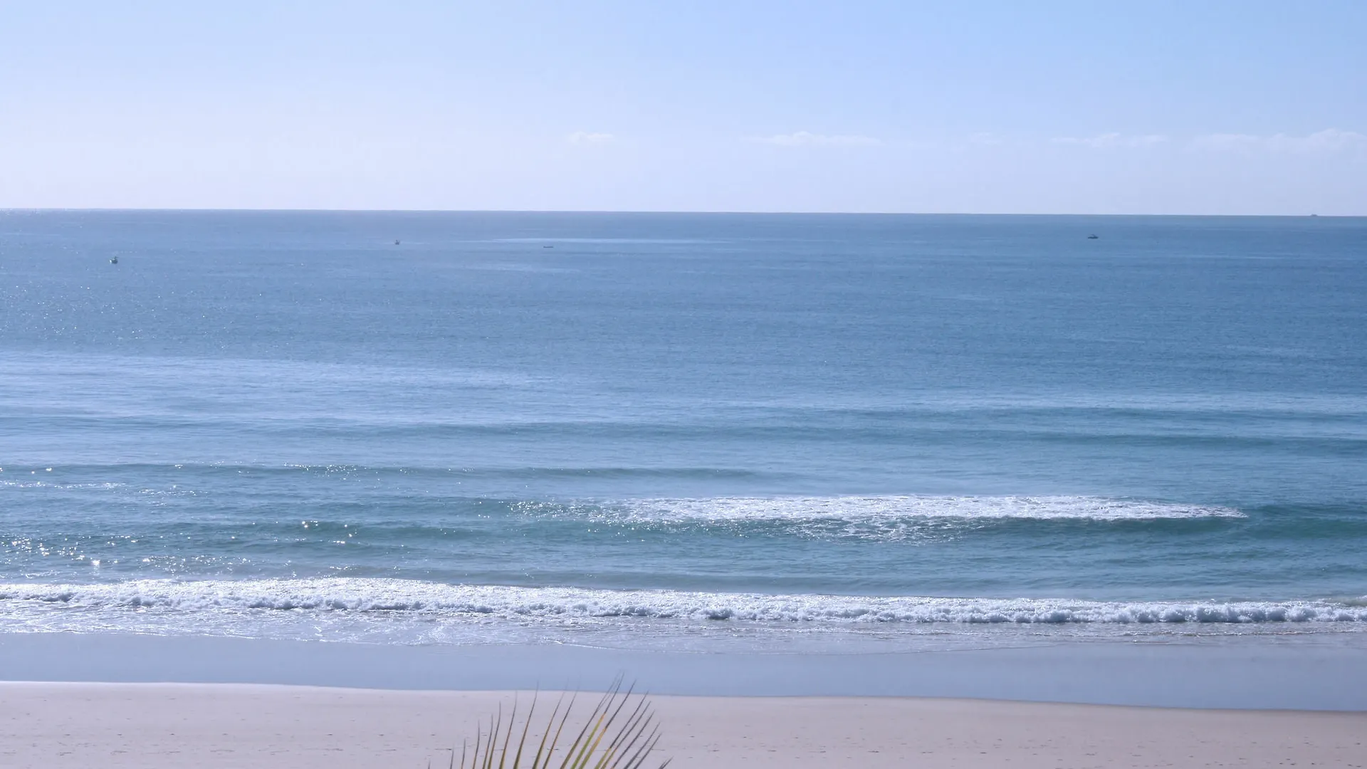 Surfers Horizons 골드코스트