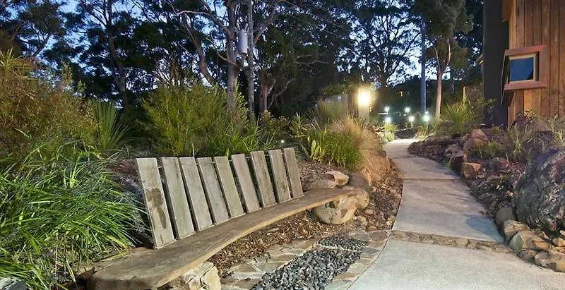 Binna Burra Mountain